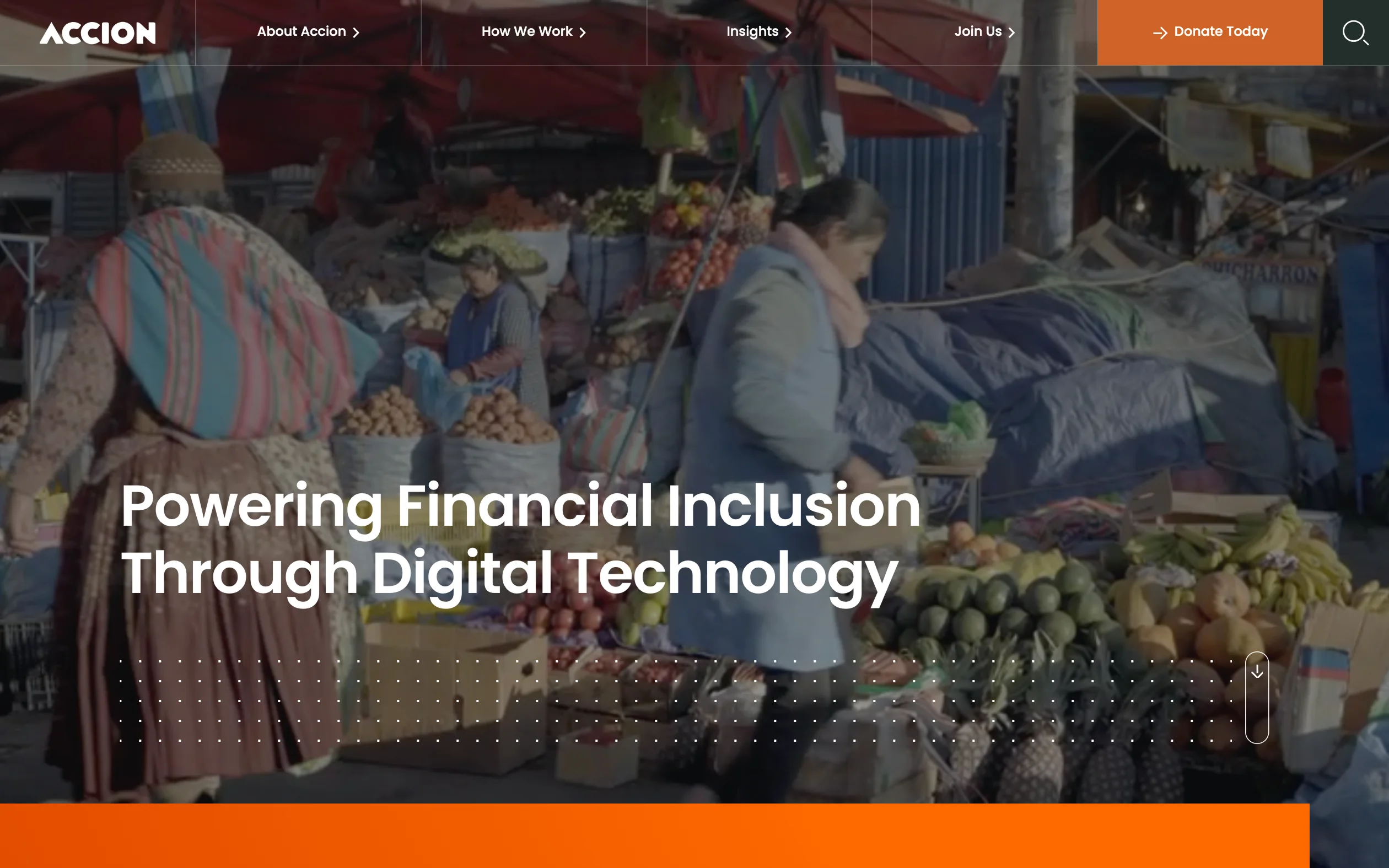 Accion website
