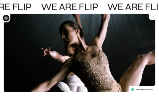Flip website